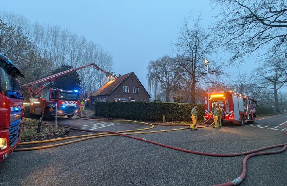 WhatsApp Image 2026-02-08 at 17.53.58.jpeg